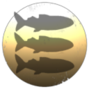 Aventure Chasse Peche