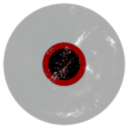 The gang from the hole