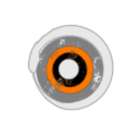 Asymmetric Warfare and Analysis Program