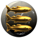 Cat Shark Chamber of Commerce