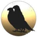 Dreads Amongst Drifters Holding LTD