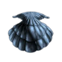 Consciousness LIberation Team