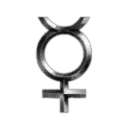 The Fallen's Secret Revenge