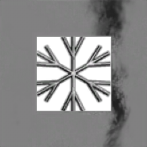 Wintersong Adventures