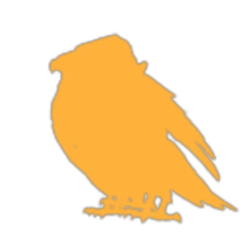 T H E . S E A C A L S