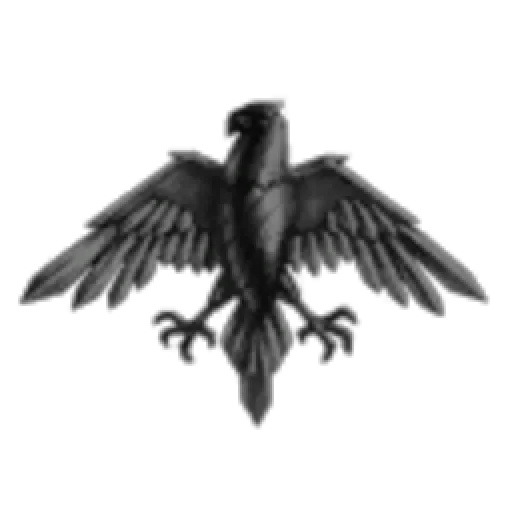 Tofu or not Tofu that is the question