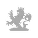 Stal'nyye volki Corporation