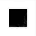 Muscle Meat Dumbbell