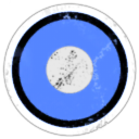 Blue Suns Immediate Reaction Division