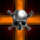 Big Koala is watching