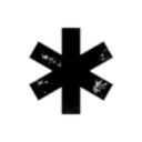 Knights of the Seven Lions