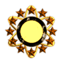 Shadow of a Sunflower