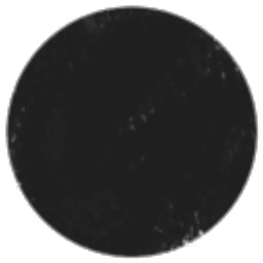 Good cat wont sell his ears while he sleeping