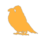 Corporation Corporation co