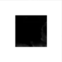 Vultarian Corporation