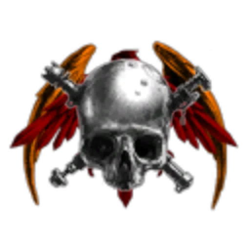 Swarm Ortho Tech Industries.inc.CO