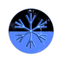 The Anares Institute