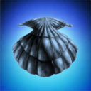 Broad Pastures Resource Extraction Inc.