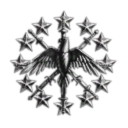 The Rising Stars Academy