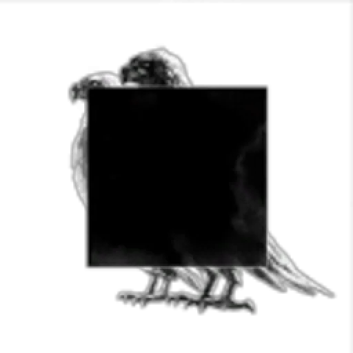 Veil of the Black Vulture