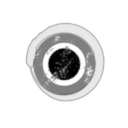 Alternate Orbit Industries