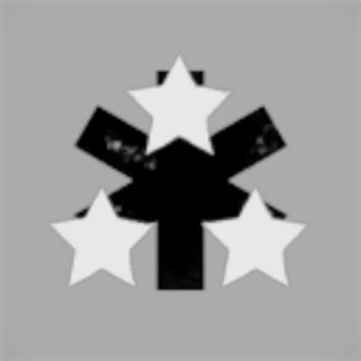 Black Sky Logistics Company