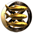 Funky Kittens in the Kosmos