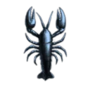 Lipecolog Magistration