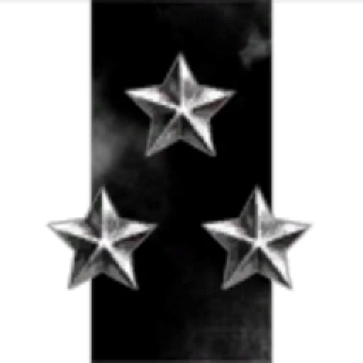 Insurance Fraud Division