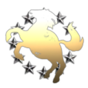 Xpose Star Corporation