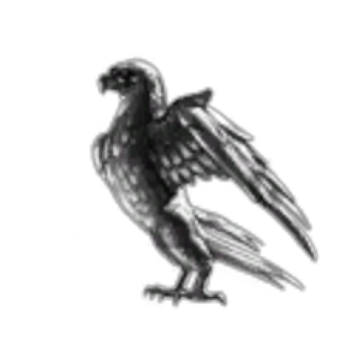 Mass Ascension Holding Corp