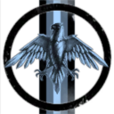 Silver Industries Corp