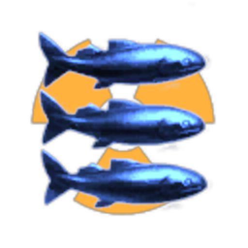 Black Sea Corporation