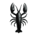 CrabbiestCoyote Holdings