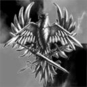 Empire Did Nothing Wrong