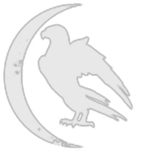 Throneside Acquisitions