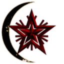 Moon Racoon Mining Co.