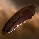 Ark