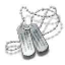 Zazzmatazz's Bodyguard Insignia