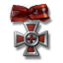 Christer Fuglesang's Medal