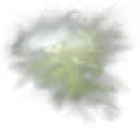 Malachite Mykoserocin