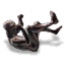 DED Informant's Frozen Corpse