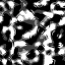 Wild Warren - Limited