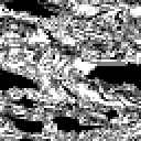 Distortion Assay - Limited